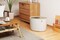 IRIS USA Top Entry Cat Litter Box Litter Particle Catching Cover and Privacy Walls with Scoop, Cat Pan